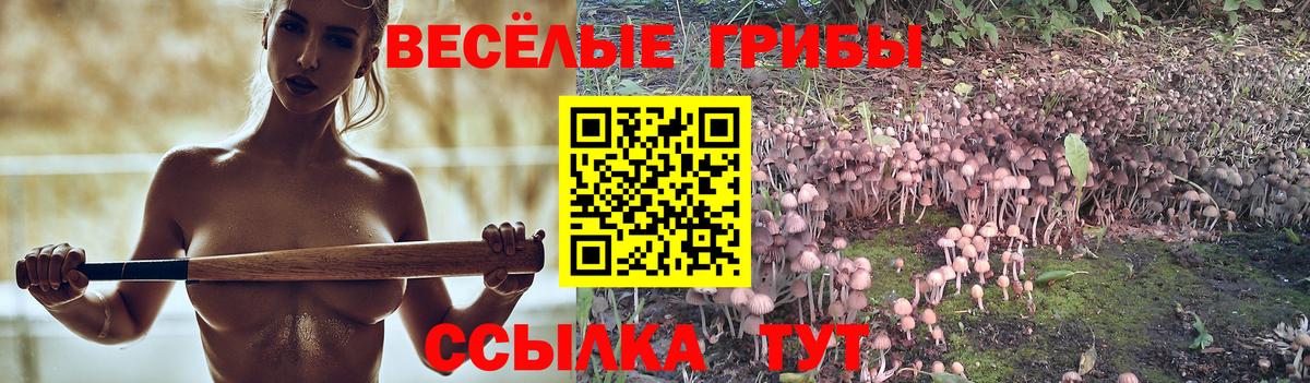 Павловский Посад  Галлюциногенные грибы Cubensis  Вход с VPN 